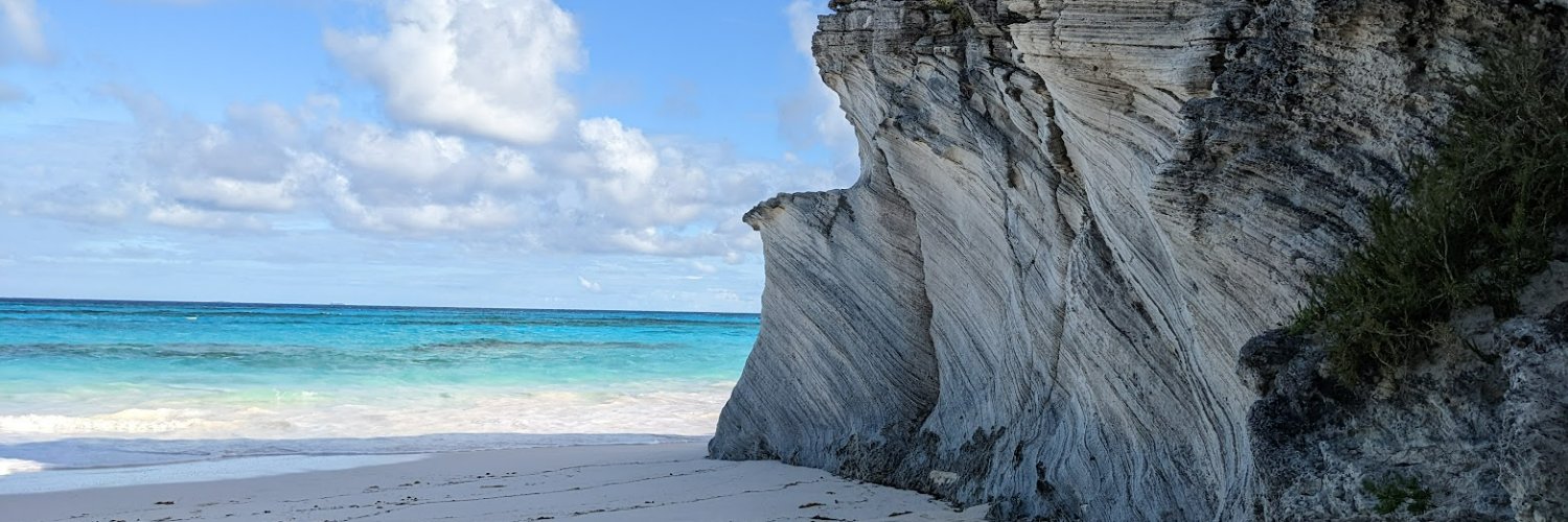 MONCELLE Fabienne banner