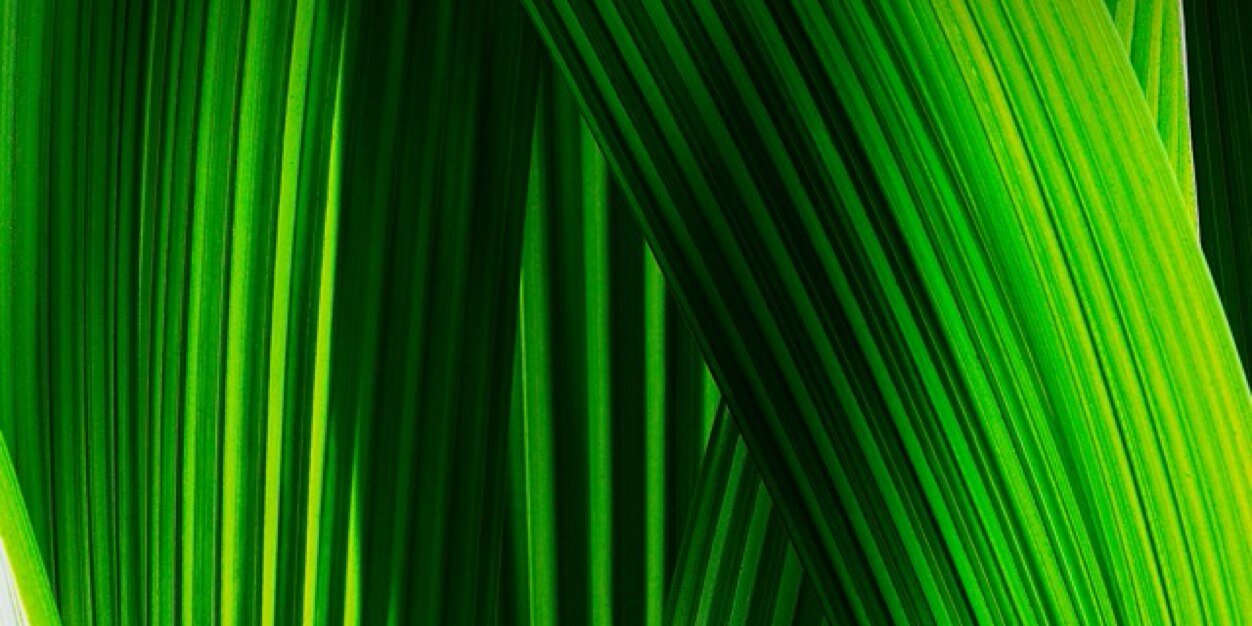 SuaebTaiwo's profile banner image
