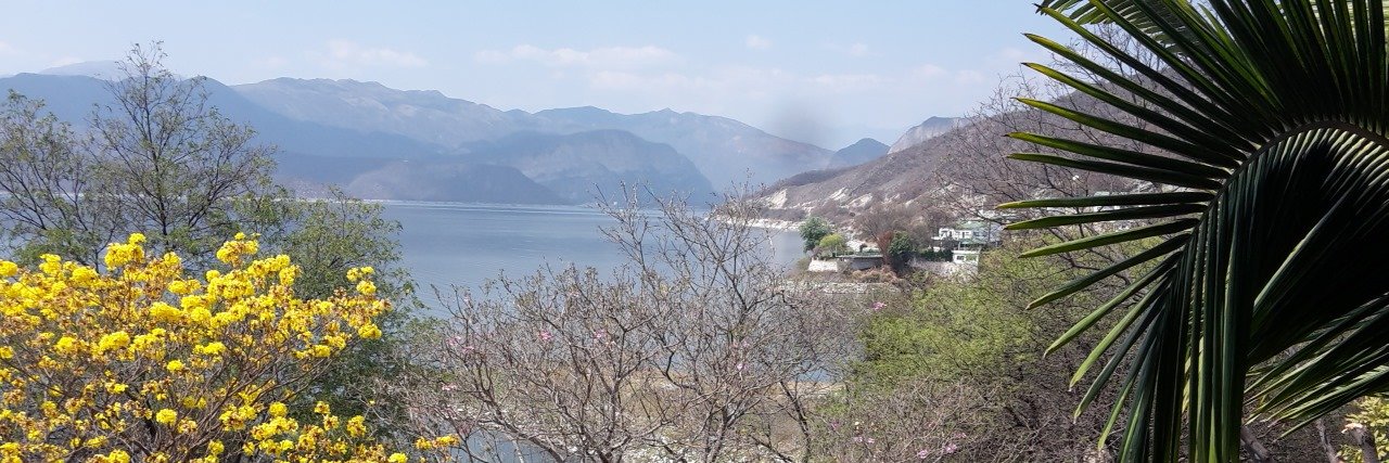 Alejandra Feld banner