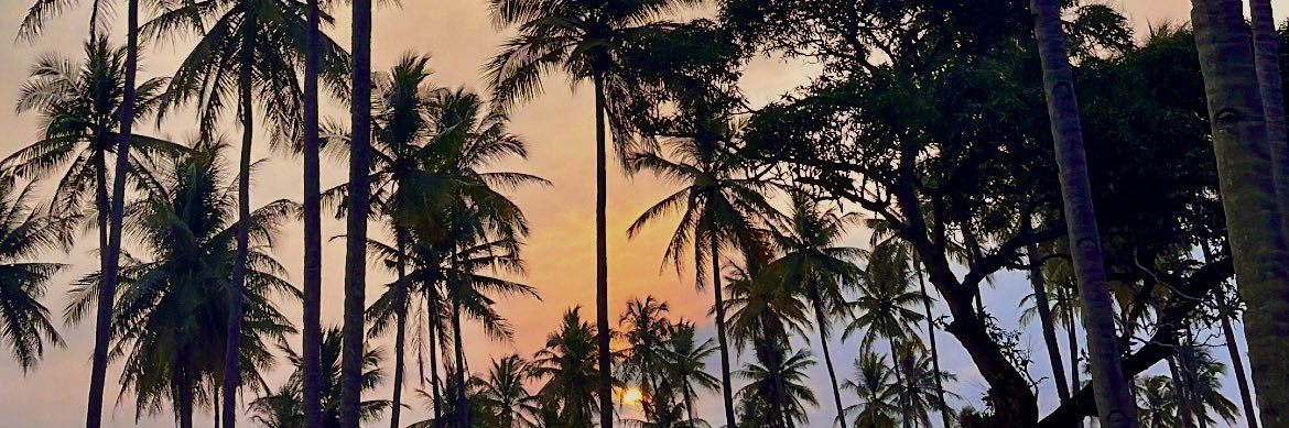 boopbtty_'s profile banner image