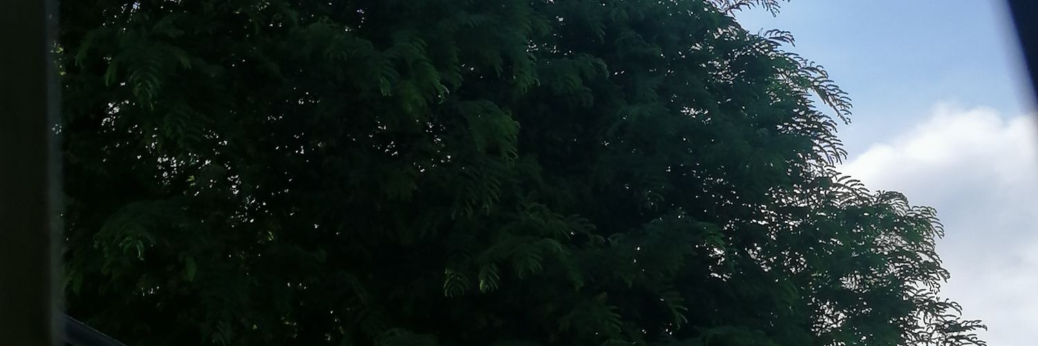 justdhulce's profile banner image