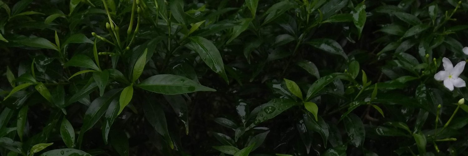 misspriyanain's profile banner image