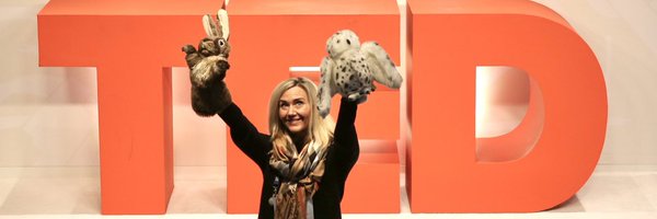 asaarinen Profile Banner