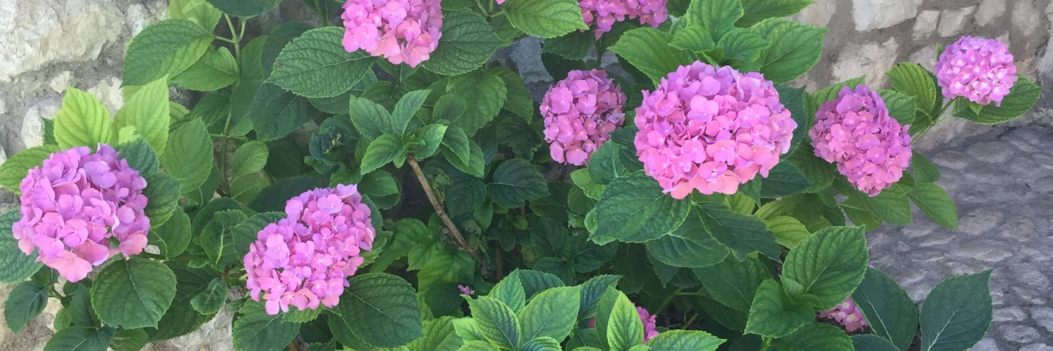 AnnaPoletto97's profile banner image