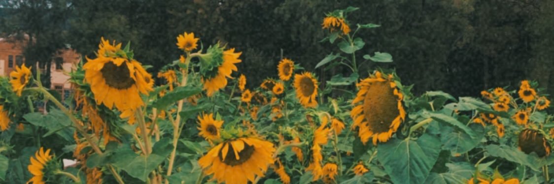 freyayeye's profile banner image
