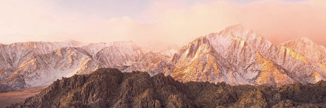 hailey henley banner