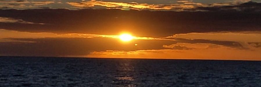 nawaidsaify's profile banner image