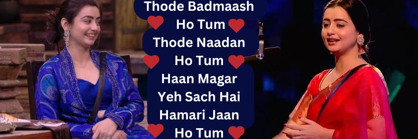 PCsBarfi's profile banner image