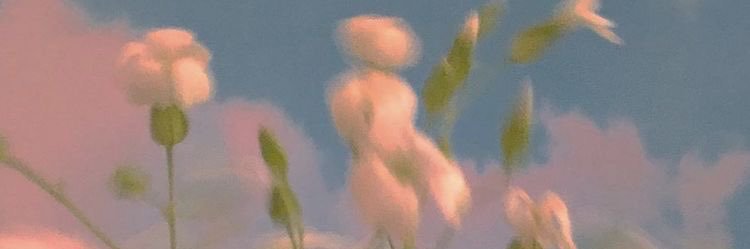 Toofy_125's profile banner image