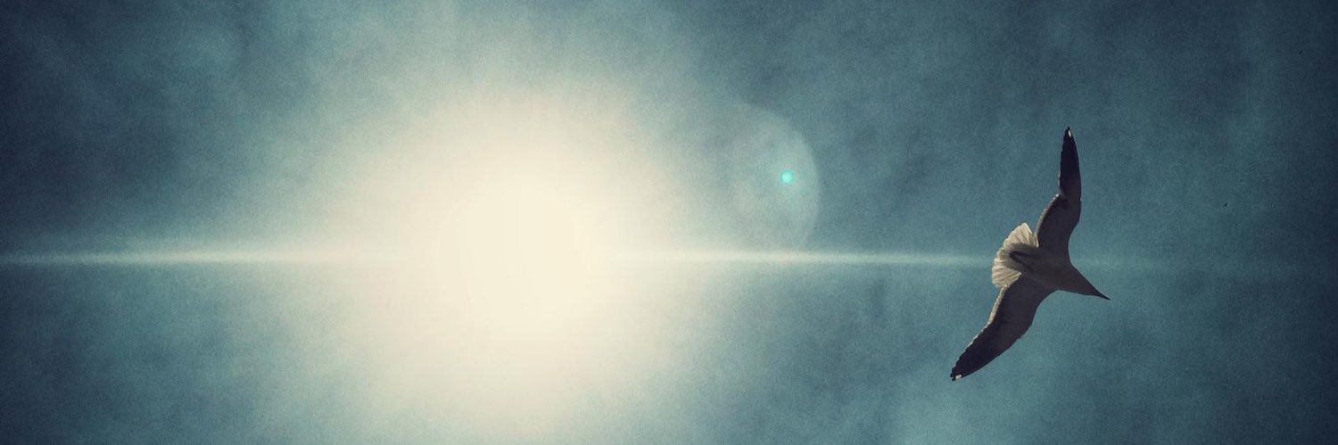 PerkinsWil's profile banner image