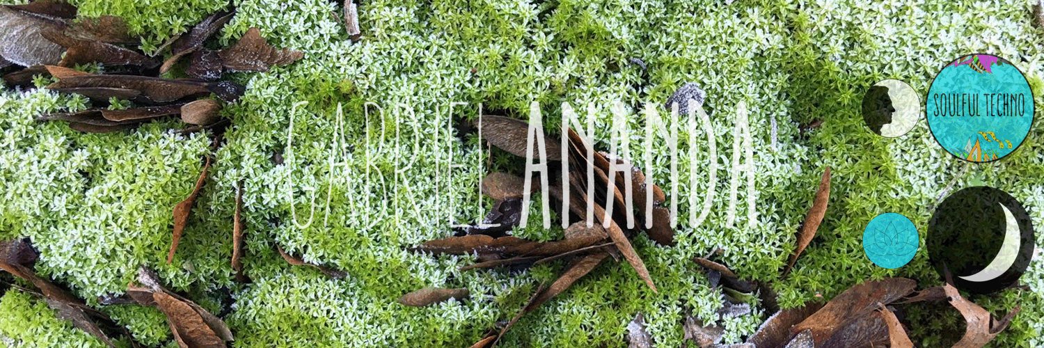 Gabriel Ananda banner