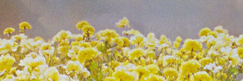 Fi_VIP88's profile banner image