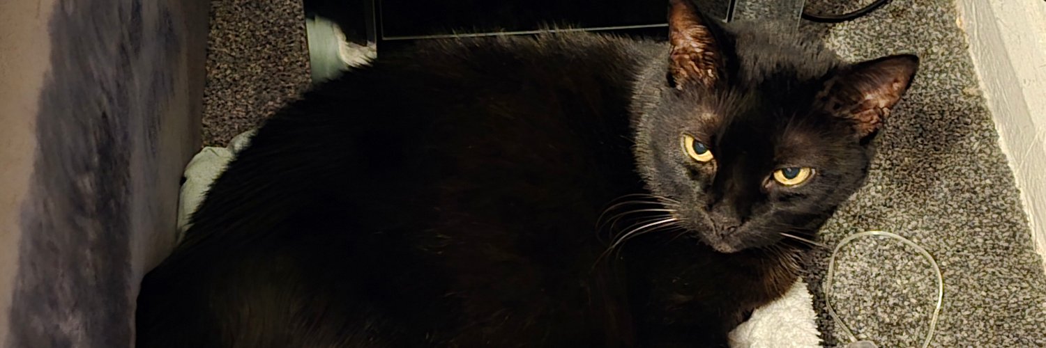 Nyxweaver96's profile banner image