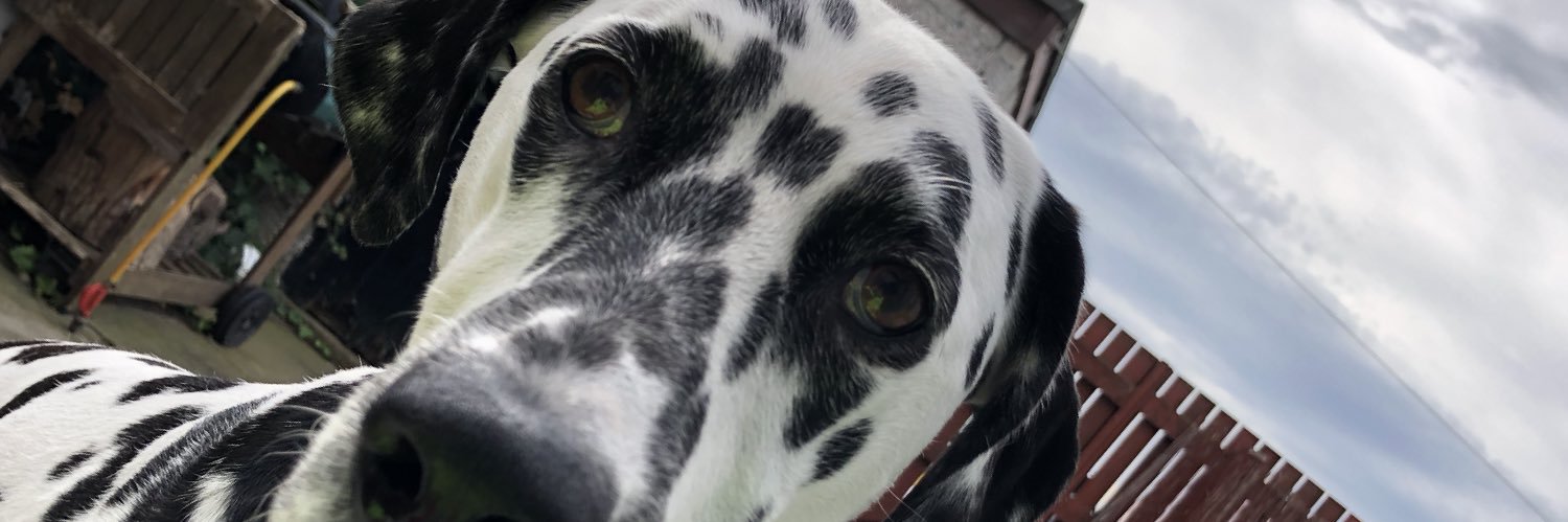 Callum Duncan banner