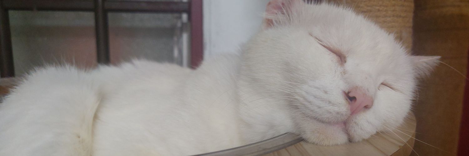 chongerc's profile banner image