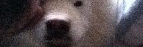 dantevvp's profile banner image