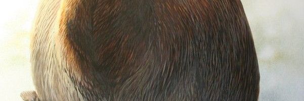 Mārtiņš Zvaigzne banner