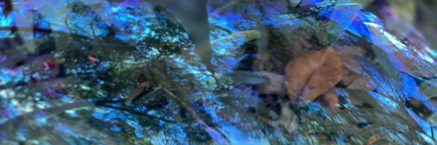 SandraLeighPrice banner