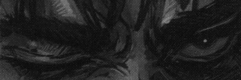 Alex54340218's profile banner image