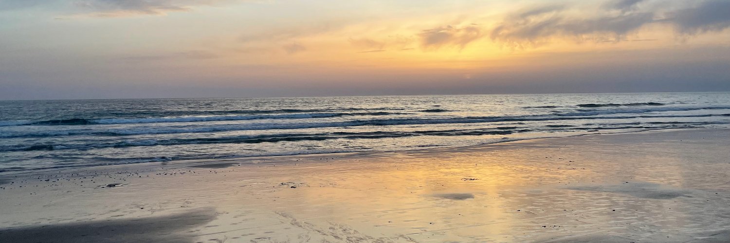 elena_serrano's profile banner image