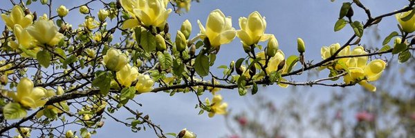 ChloeLe39602964 Profile Banner