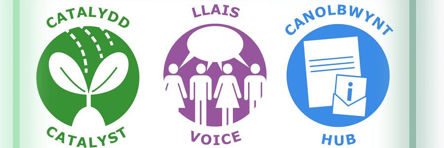 PAVO Wellbeing 🏴󠁧󠁢󠁷󠁬󠁳󠁿🏳️‍🌈 banner