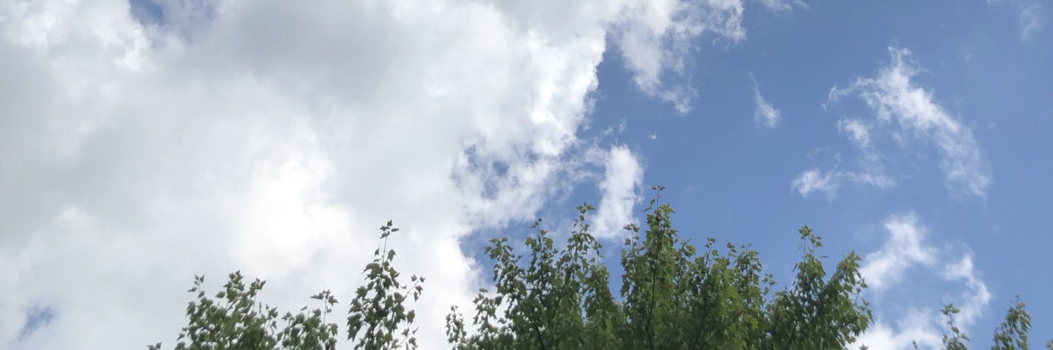 C B banner