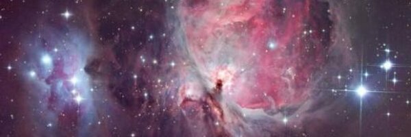 ditds Profile Banner