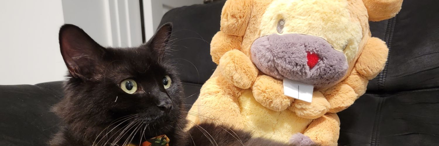 AlyTea 🔜 Pittsburgh banner