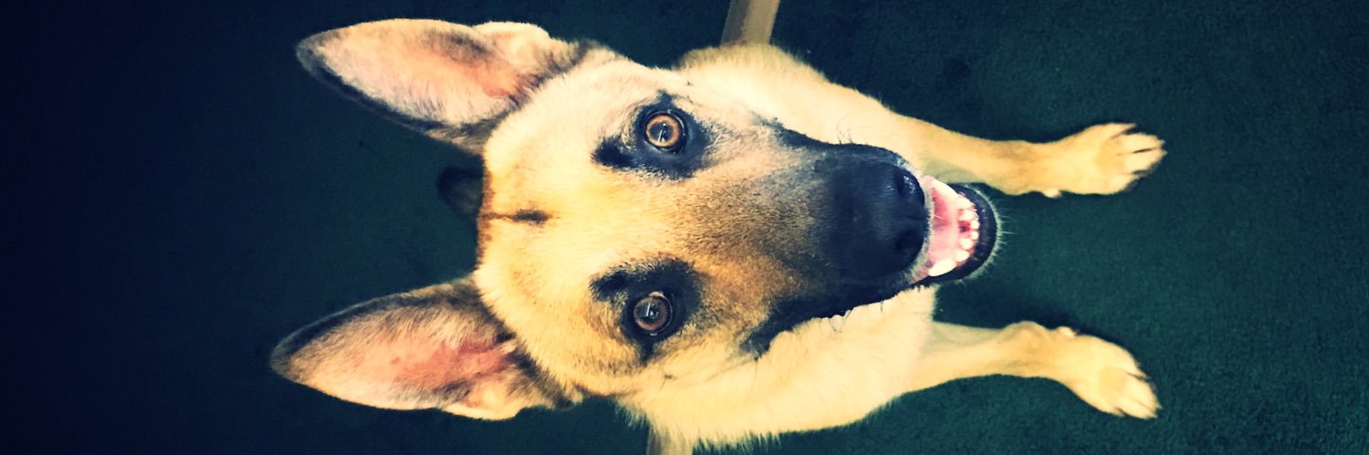 Catelyn Miller banner