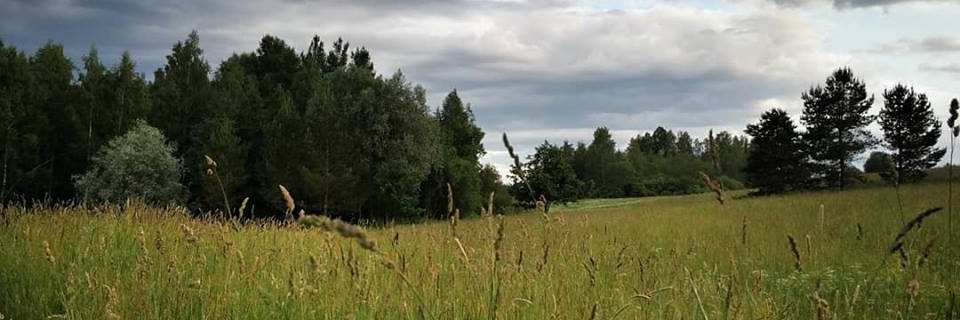 Karina Silabriede banner