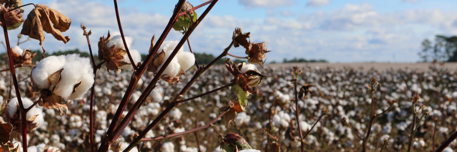 U.S. Cotton Trust Protocol banner