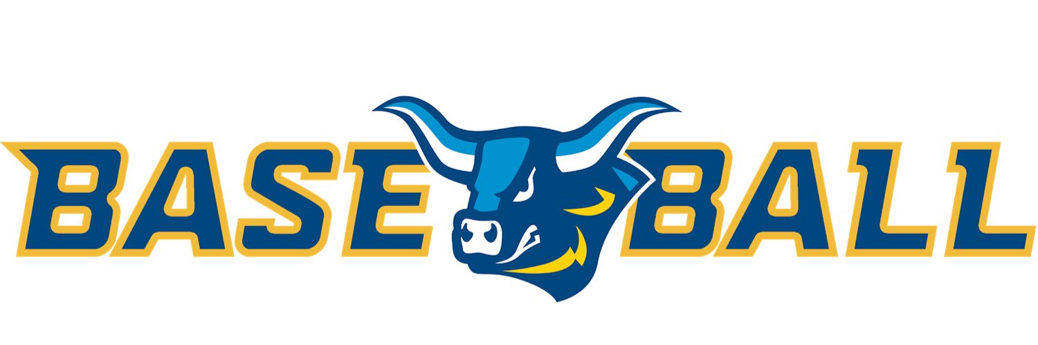 Alfred State Baseball banner