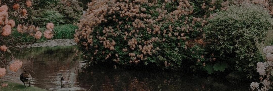 satvrnyne's profile banner image