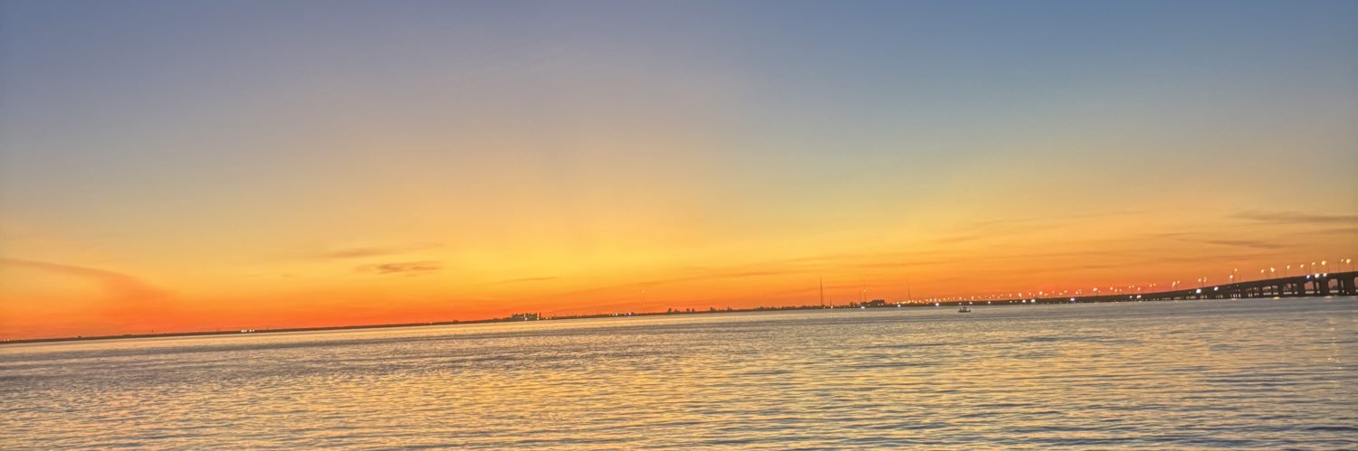 Lily Randgaard banner
