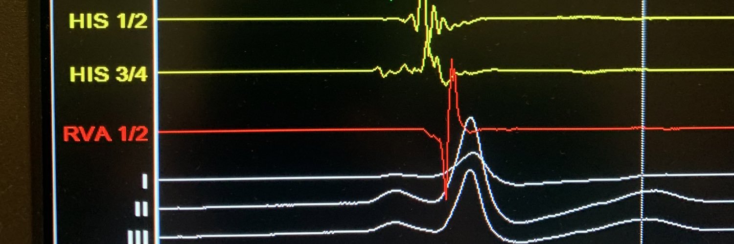 Daniel Zimmer banner