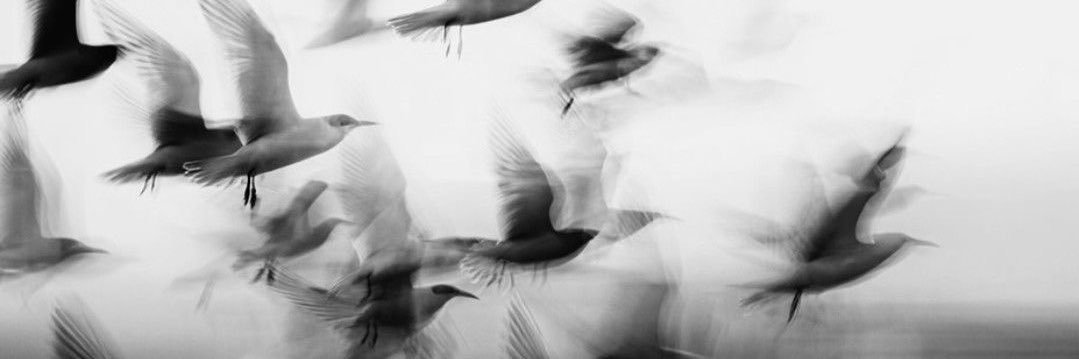 KOUX banner