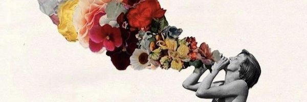 beltranp Profile Banner