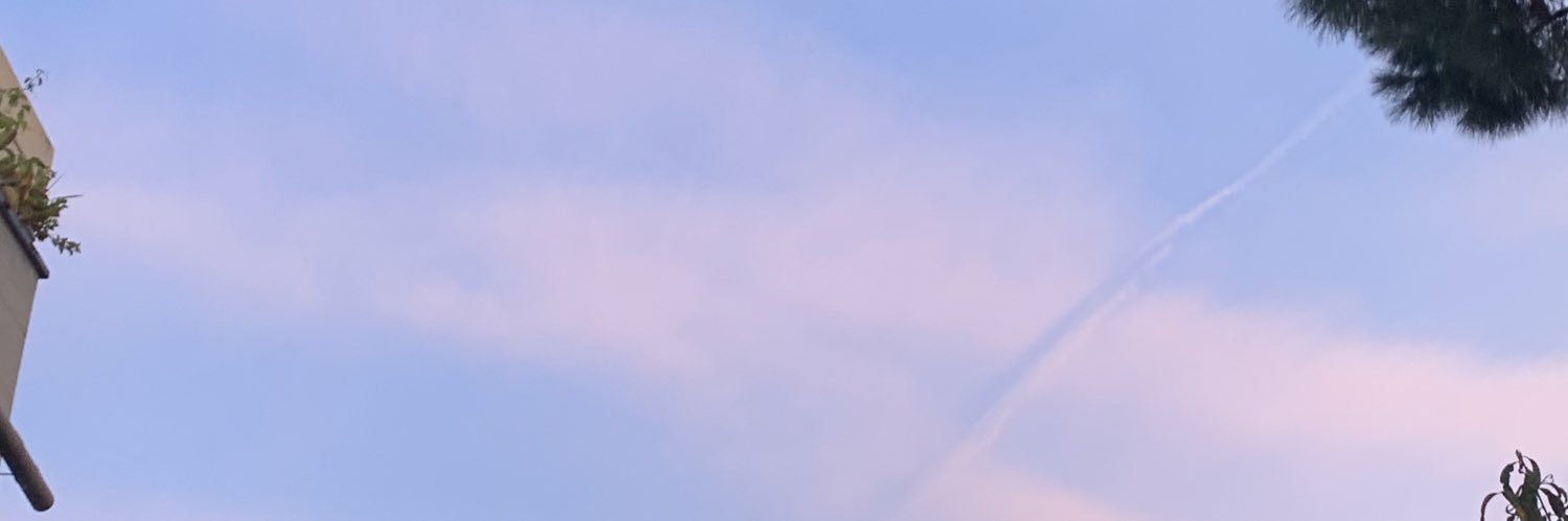 sofia banner