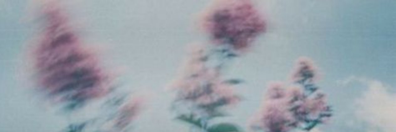 laurasbookcase's profile banner image