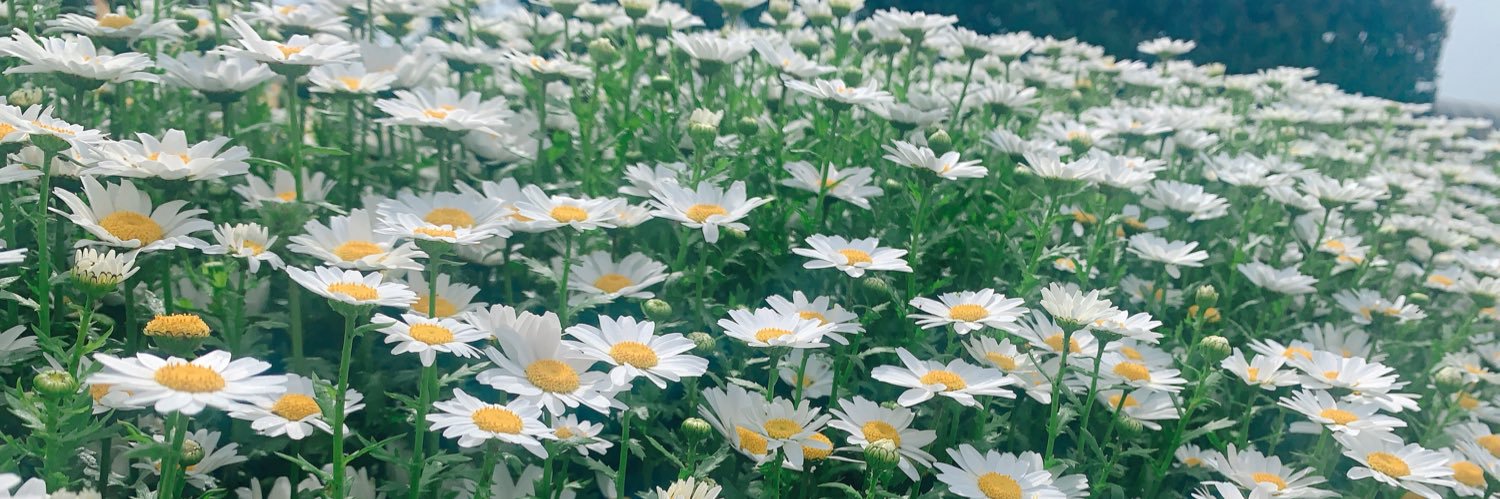 犬餅ゆき｜Yuki Inumochi 🐕 banner