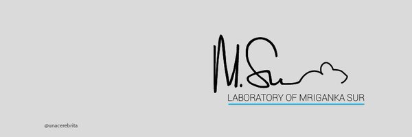 SurLabMIT Profile Banner