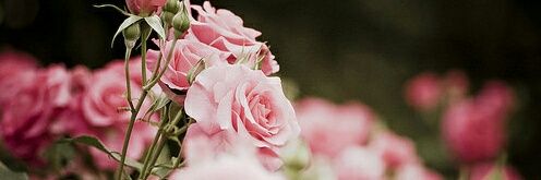 2013LoverM's profile banner image