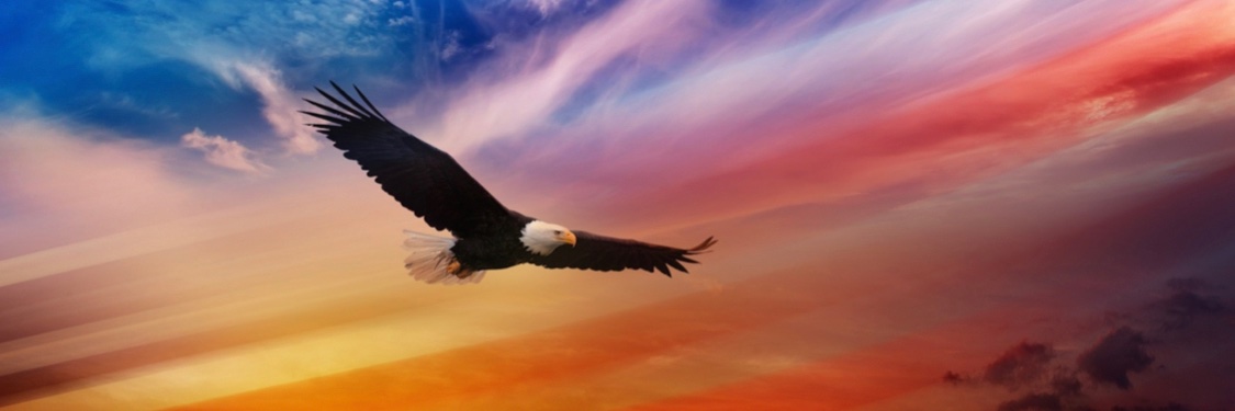 Bruce_BKB's profile banner image