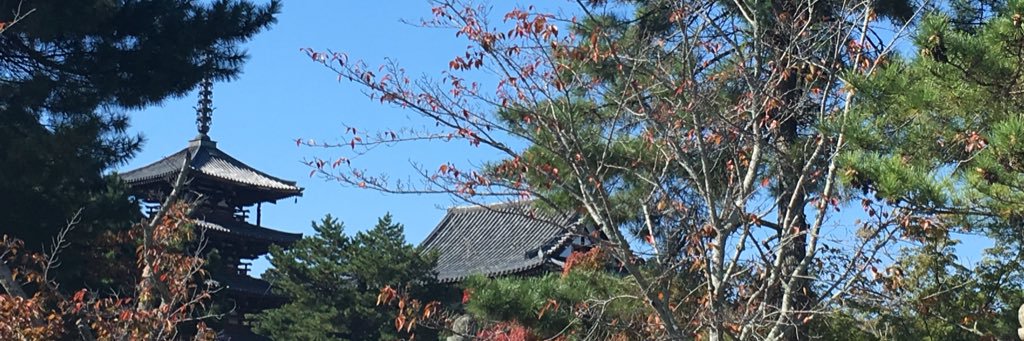 akinco1118's profile banner image