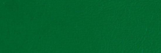 Green Wave Goalies banner