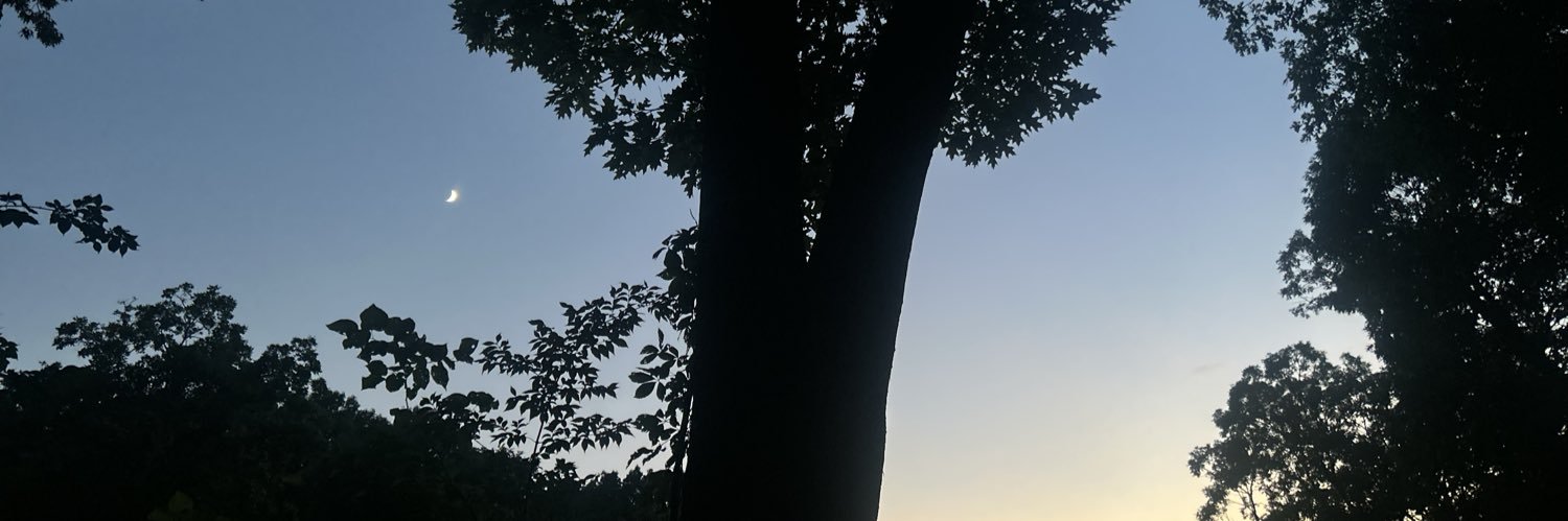 rozzypotty's profile banner image
