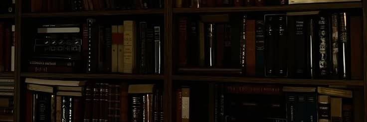 fkxlena's profile banner image