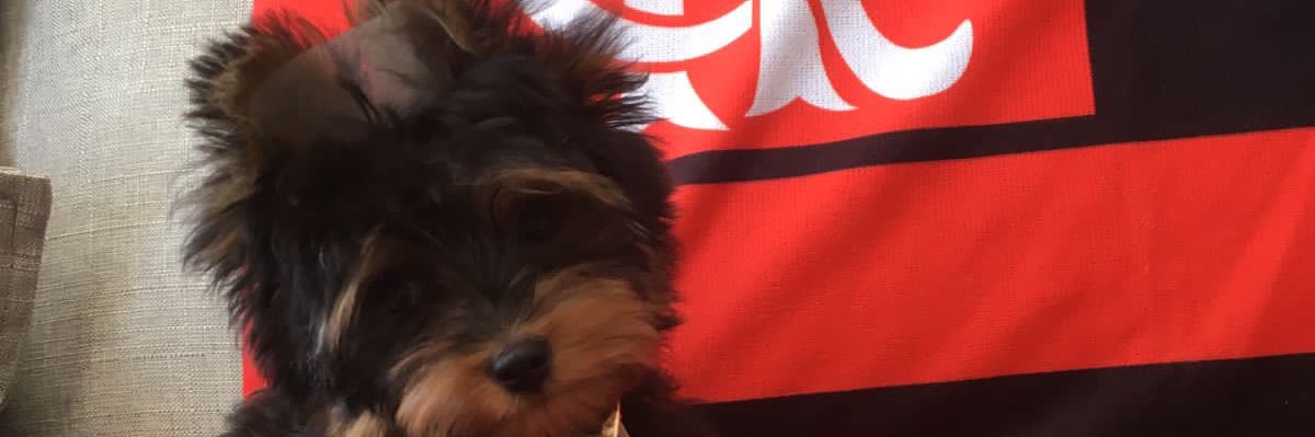 mayarabarcelosc's profile banner image
