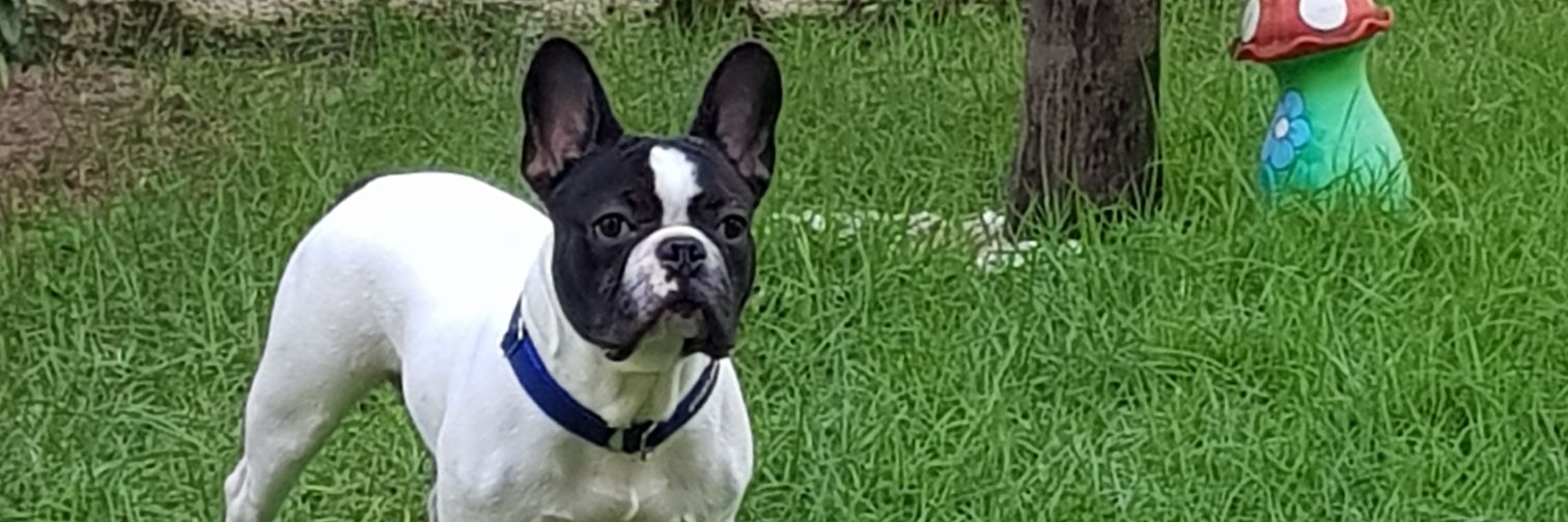 Denys360's profile banner image